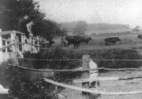 The White Bridge