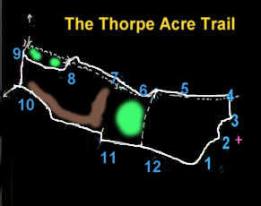 Thorpe Acre Trail